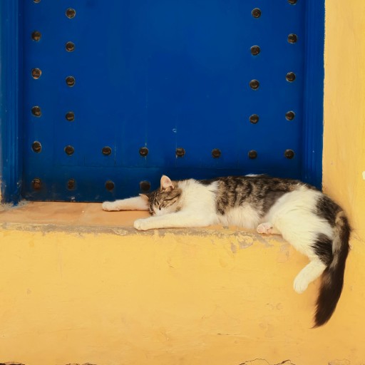 Dr Philippe MALHERBE